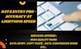 complete all data entry tasks precisely, and quickly with utmost satisfaction