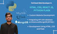 sql, django, flask, mongodb, mysql website errors fix