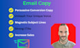 write high converting email campaigns for wellness business