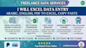 excel data entry arabic, english, pdf to excel, copy paste