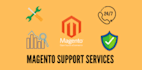 expert magento admin manage, customize, and optimize your online store