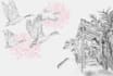 make botanical handdrawing pencil color illustration