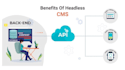 develop next js, node js, headless cms and AWS amplify apps strapi,datocms