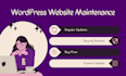 provide you with a wordpress website maintenance service