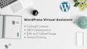 upload SEO content and blog post as your wordpress VA