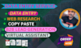 do accurate data entry copy paste web research and virtual assistant expert