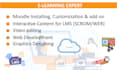 expert lms setup and interactive course development