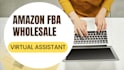 experienced amazon fba wholesale virtual assistant for efficient business