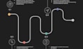 create roadmap, timeline, infographics within 24 hours