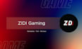 do professional game testing and review on client demand
