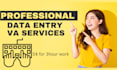be your virtual assistant for data entry