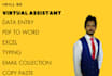fastest data entry in low price