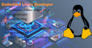 develop an embedded linux device driver and kernel porting