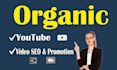 do the best youtube video SEO and promotion