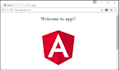 customize the angular website
