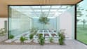 design landscape, backyard and front yard