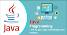 developed  desktop and  web application  using database in   java
