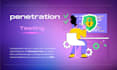 penetration test your website with professional report