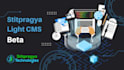 make canva design graphics