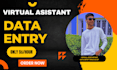 do accurate data entry, copy paste,web search