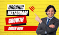 do super fast organic instagram growth