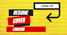 provide executive CV writing service, linkedin full profile delivered in 24 hrs