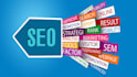 provide autopilot SEO system for wordpress sites