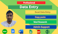professional data entry and web research