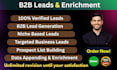 do targeted b2b lead generation, data enrichment, and prospect list building