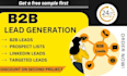 do b2b lead gen from targeted niche