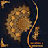 create hand drawing mandala art, mandala background, and logo