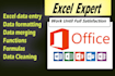 be microsoft excel expert do excel formula, formatting, reports, data entry