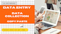 do custom data entry, data collection and copy paste for you