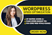 do wordpress speed optimization, fix core web vital issues