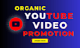 do fast organic youtube video promotion