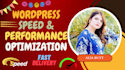 expert in custom website with google recaptcha and maps integration