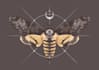 draw an animal and botanical illustration