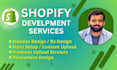setup your shopify store, shopify website