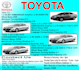 design and create flyers and logo