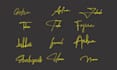 sophisticated handwritten and digital signature, stylish autograph, cursive logo