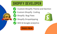 build and customize shopify store with precision and expertise