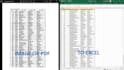 do excel data typing, data cleaning and data formatting
