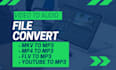 convert mp4,mkv, and flv files to mp3 or mp4
