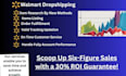 be your expert dropshipping va for walmart marketplace