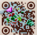 design beautiful professional qr code