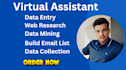 be your virtual assistant for data entry, data mining, web research, copy paste