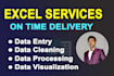 do excel services like data entry, cleaning, comparison, visuals and many more