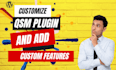 customize qsm plugin and add custom features