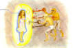 remove negative entities and negative energies