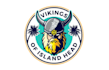 vikings island head logo design